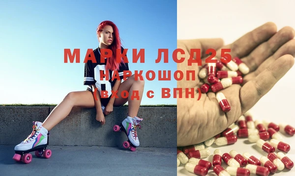 спайс Богданович
